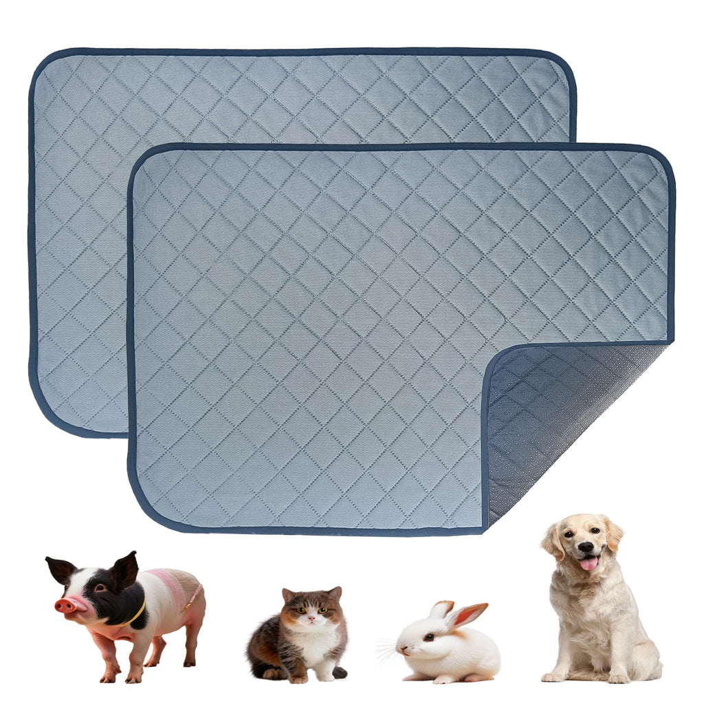 Washable Waterproof Pee Pads for Senior Dogs – Size XL (2 Pack)
