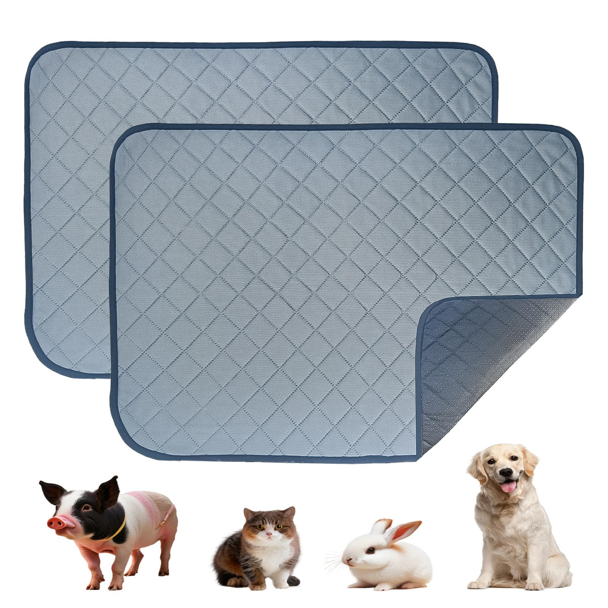 Washable Waterproof Pee Pads for Senior Dogs – Size XL (2 Pack)