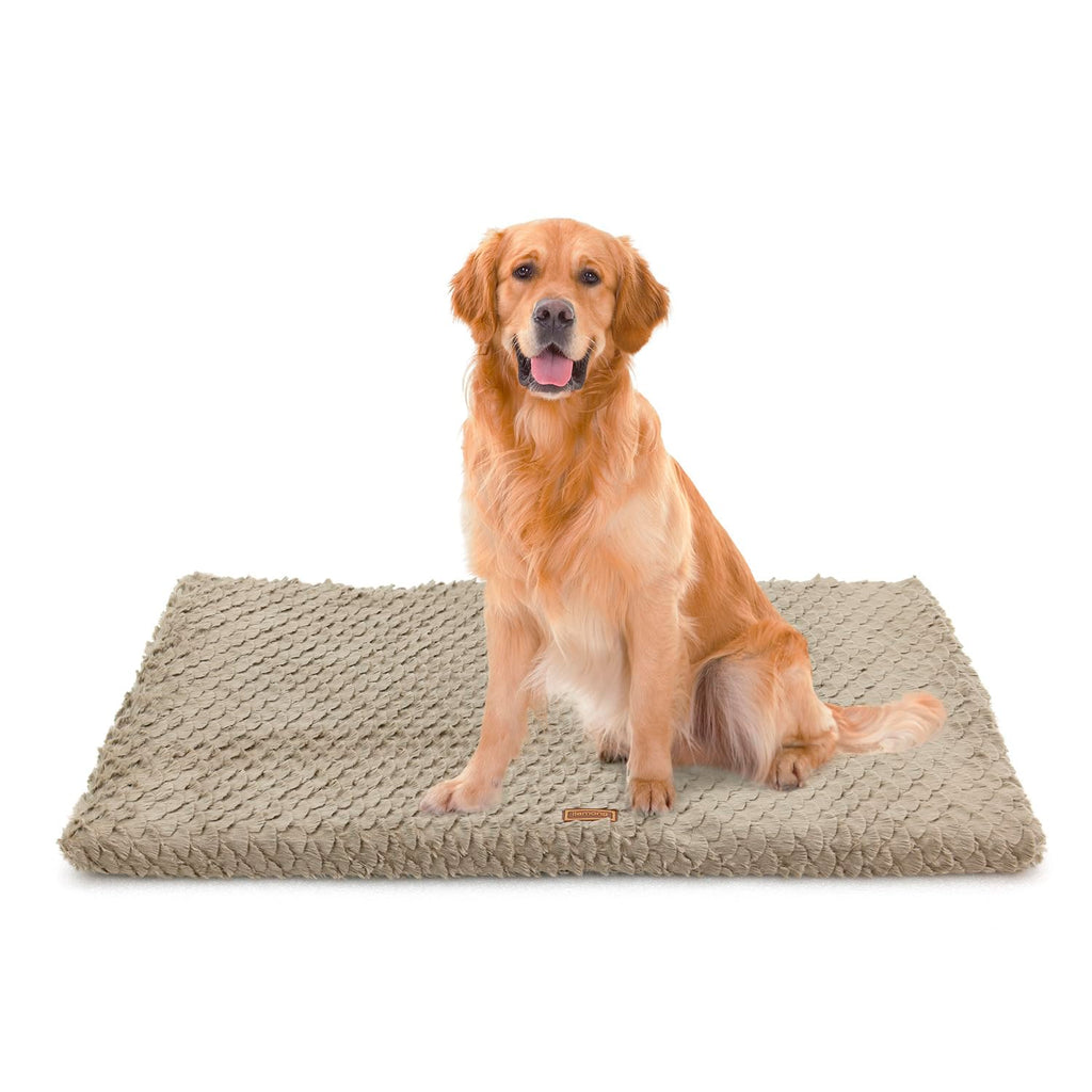 Orthopedic Foam Bed for Aging Joints – Size M
