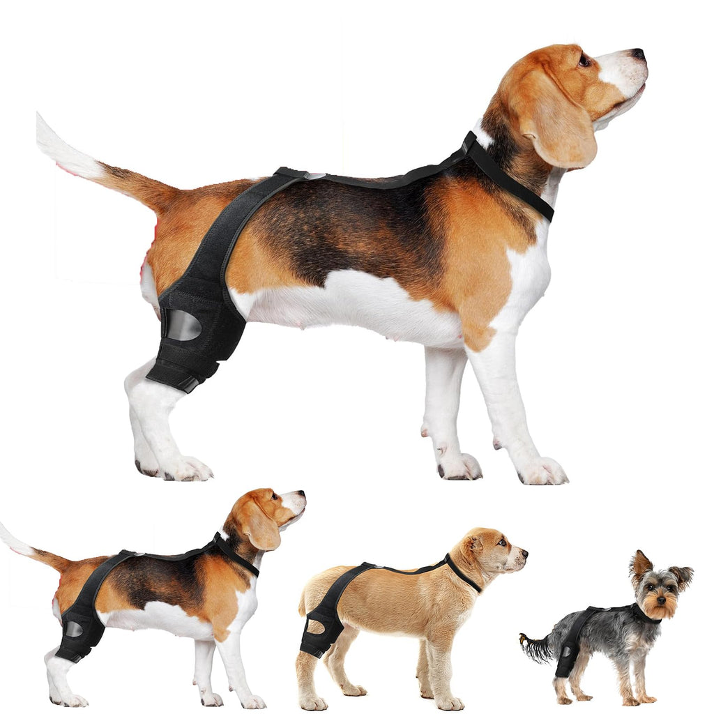 Supportive Knee Brace for Senior Dogs