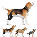 Supportive Knee Brace for Senior Dogs
