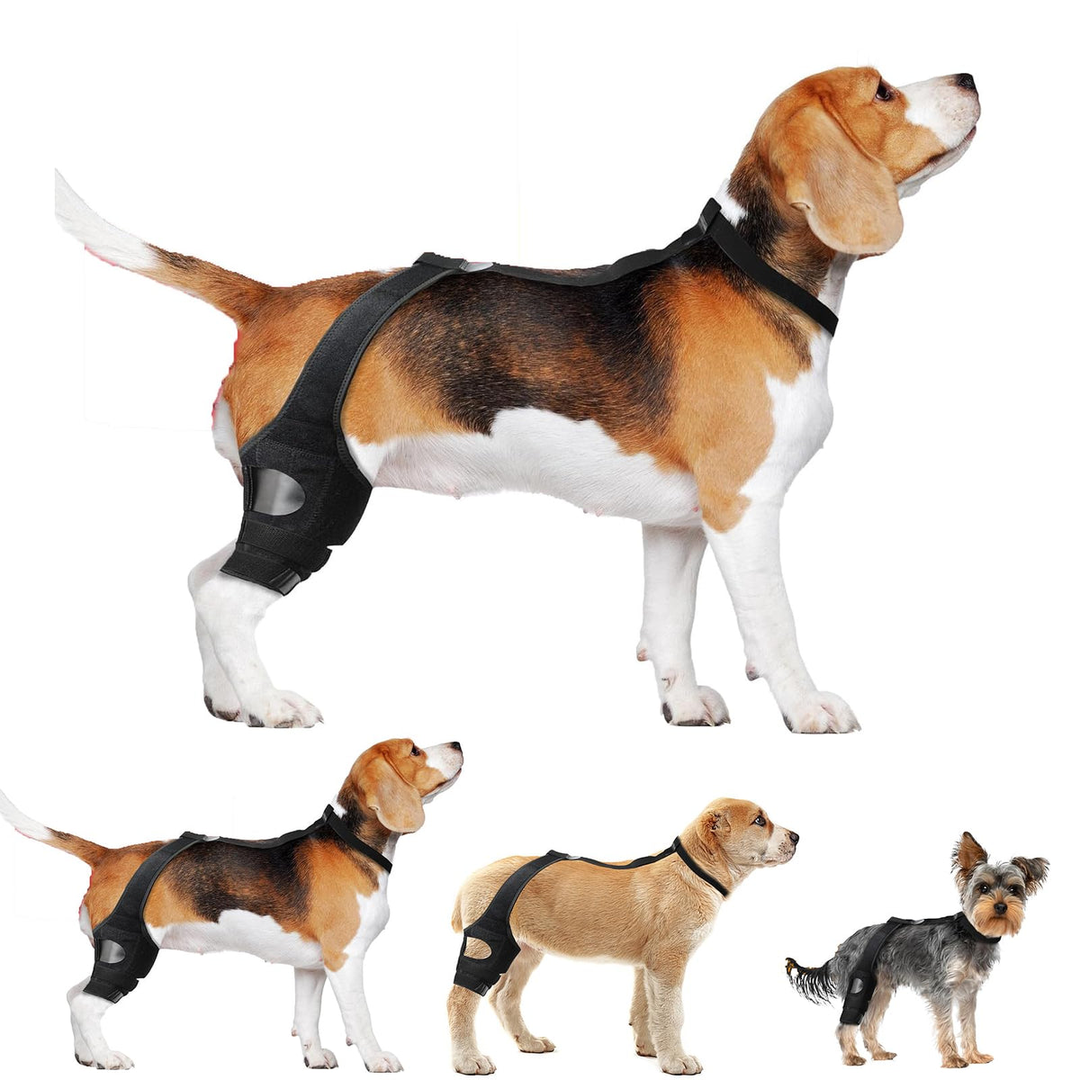 Supportive Knee Brace for Senior Dogs